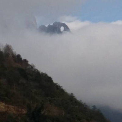羰